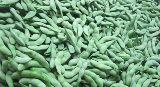 冷冻毛豆