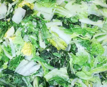frozen chinese cabbage